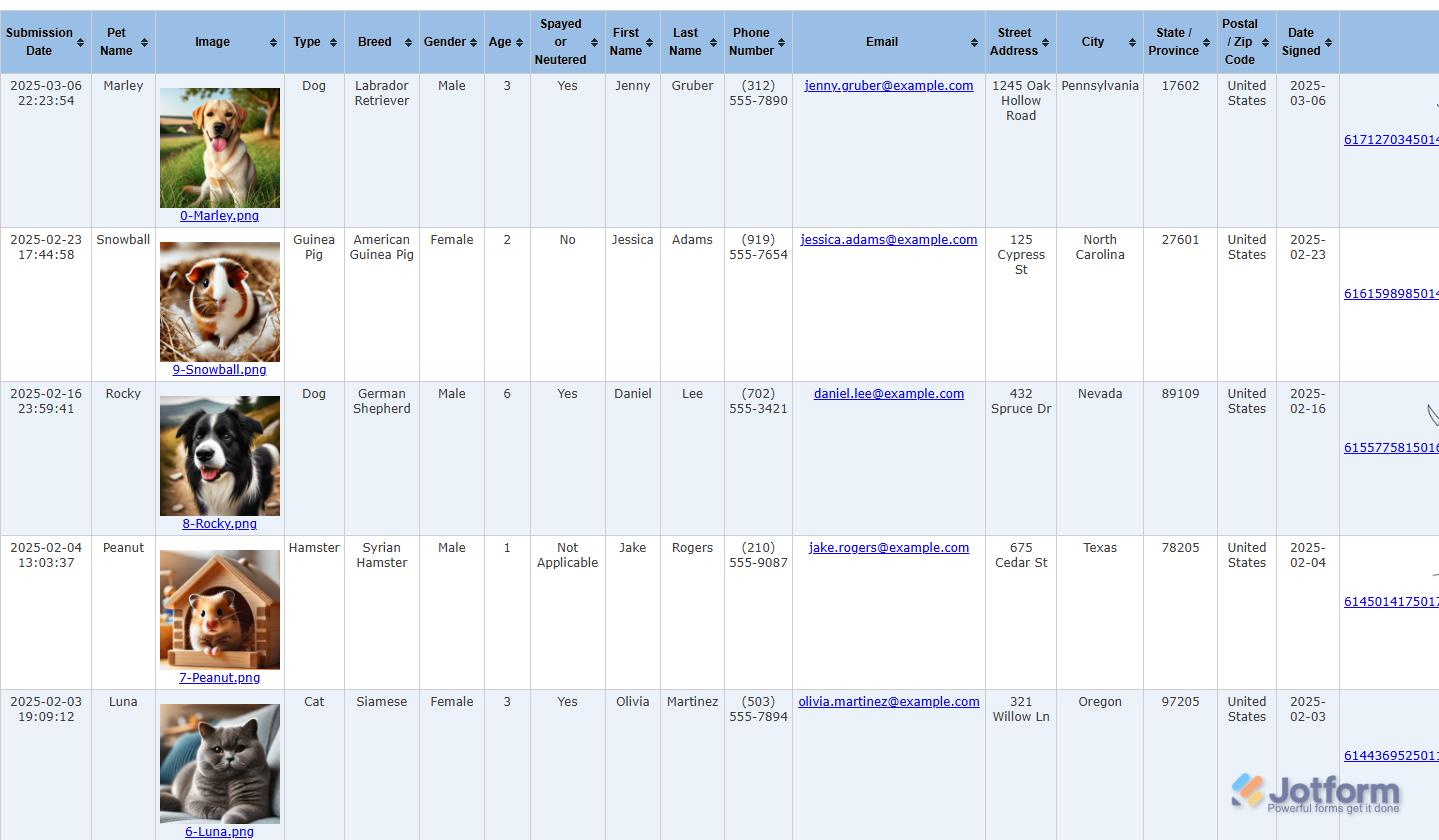 Jotform HTML Table Listing Report sample