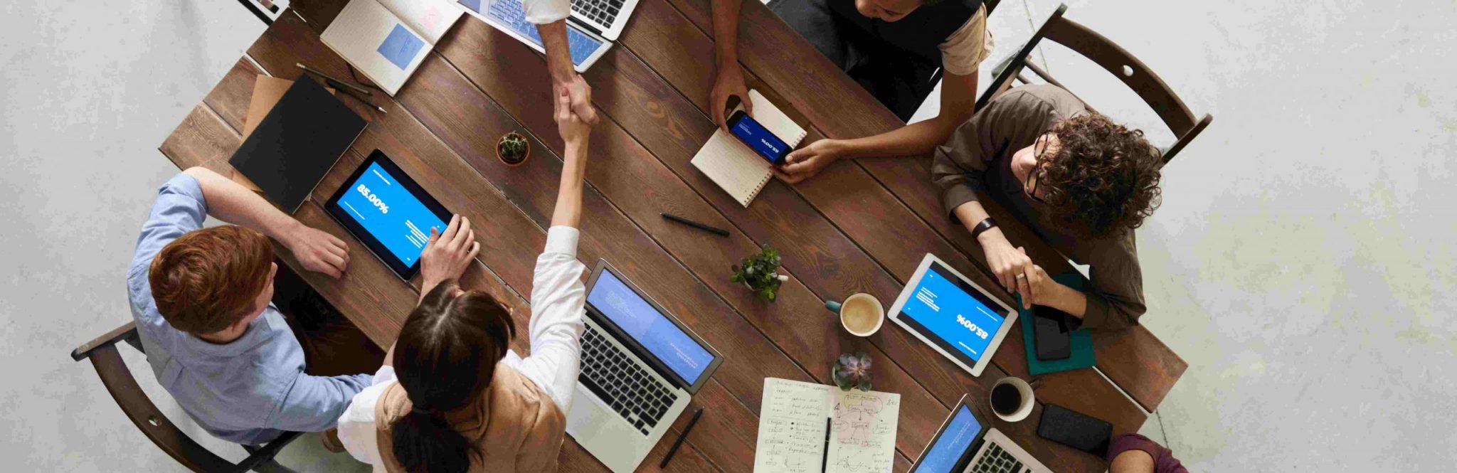 business plan software