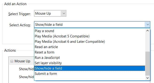 Selecting "Show/hide a field" from the Select Action Options