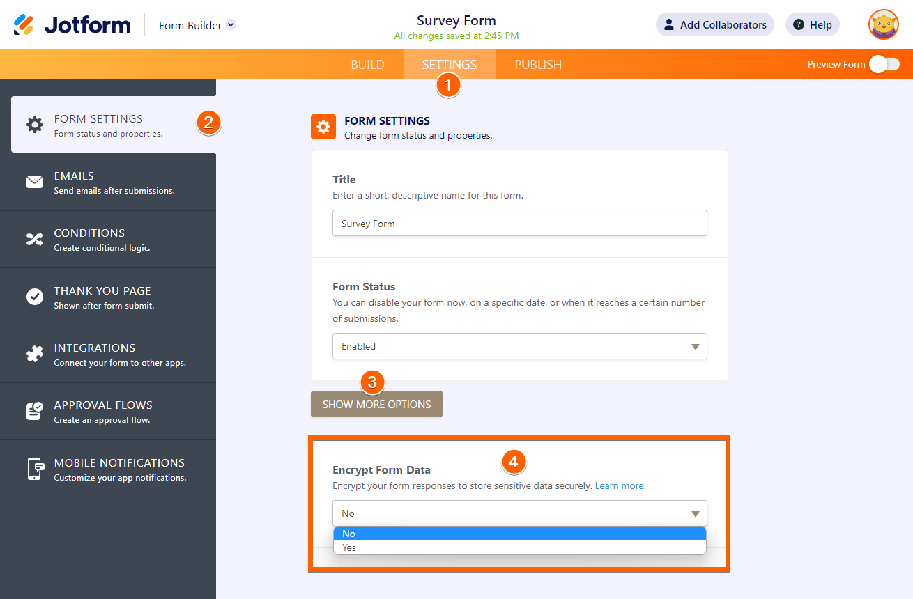 Form Encryption with Local Key File Image-1