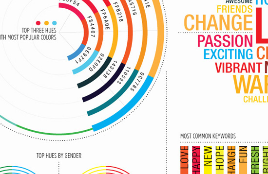 Top Voted Colors of 2010 Infographic
