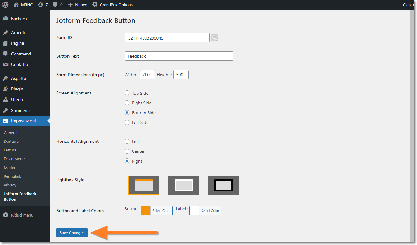Come Incorporare i Tuoi Moduli in WordPress Image-9
