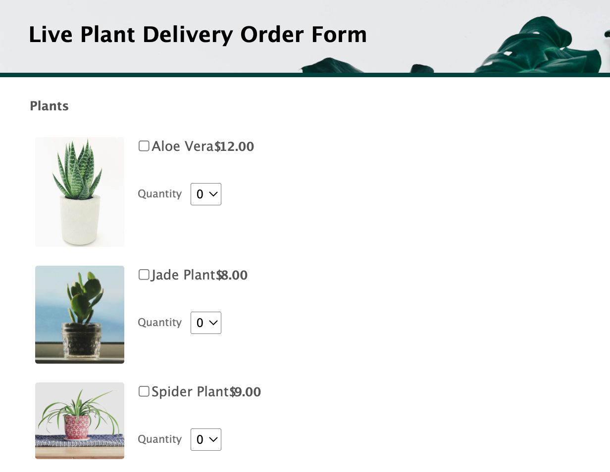 Integrate Apple Pay with your website using Jotform Image-1