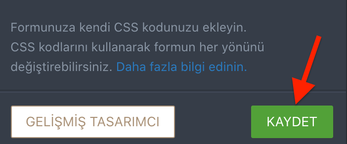 Özel CSS Kodları Ekleme Image-3