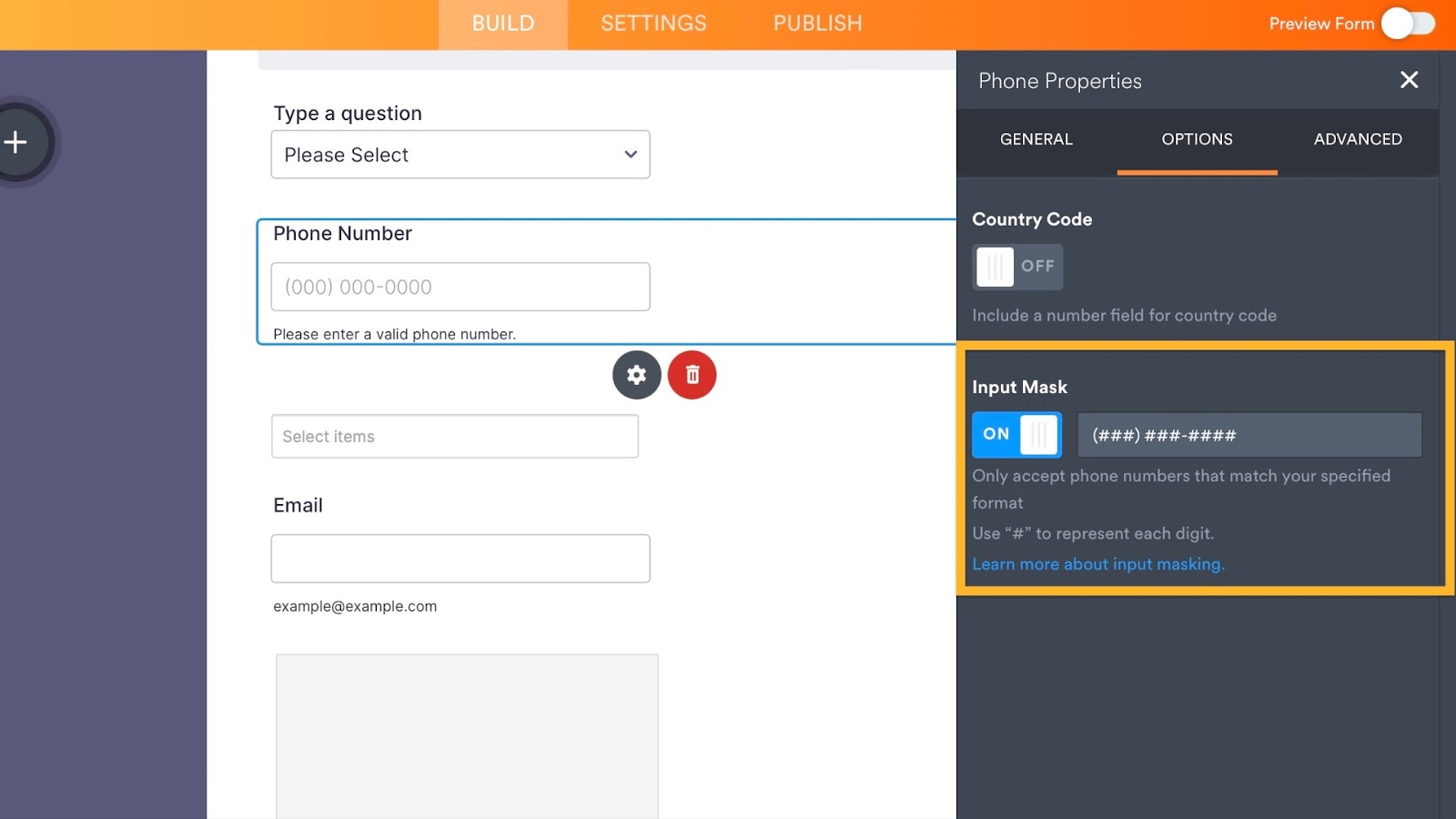 input masking feature