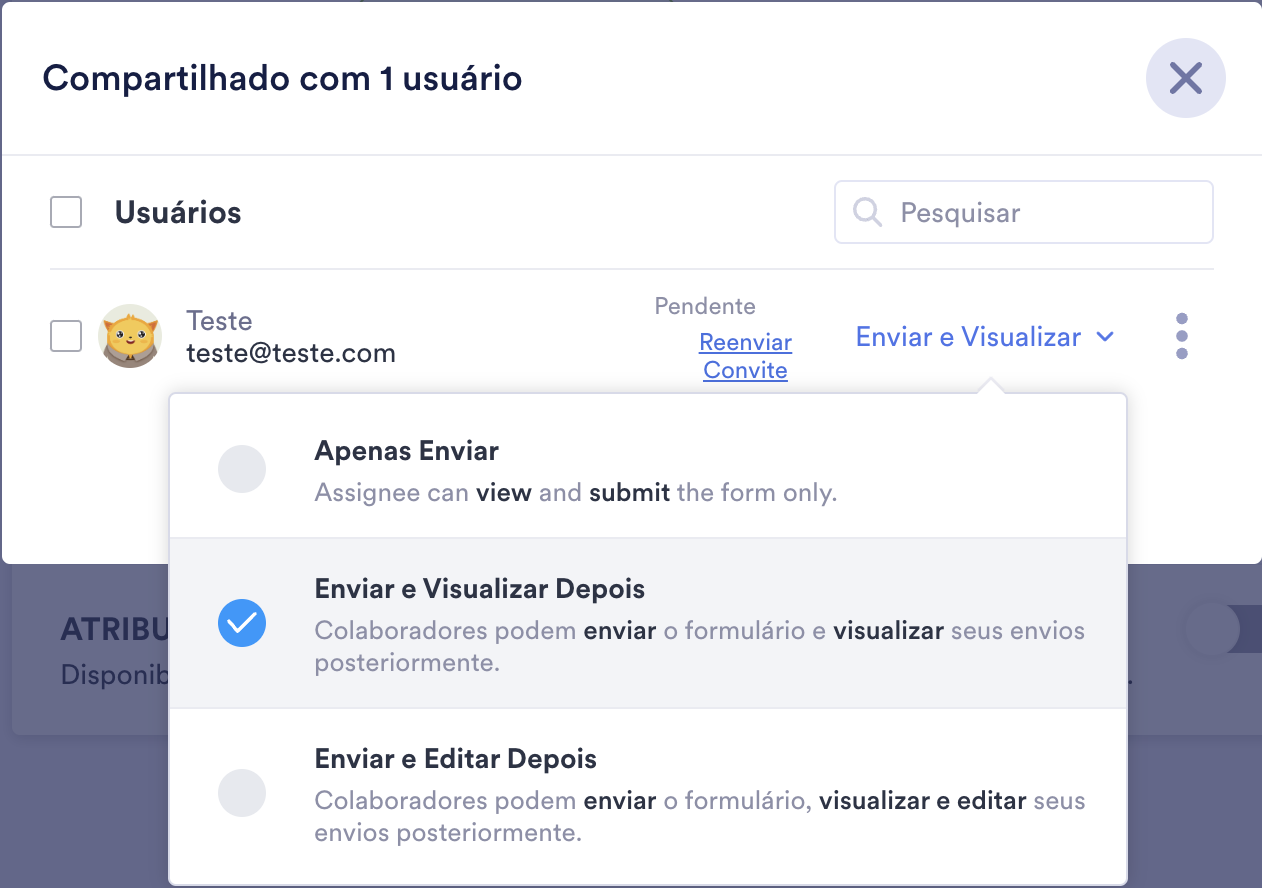 Captura de tela da página de Atribuição do formulário mostrando usuário atribuído e opções de visualização/edição