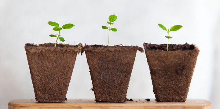 Everything I've learned about failure (from building a startup with +4 million users) Image-2