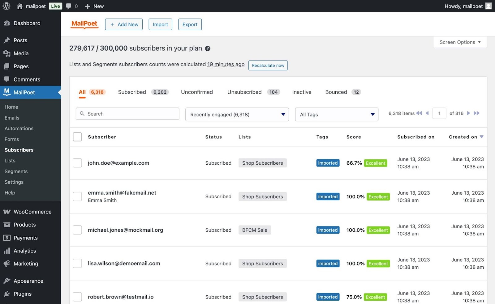 MailPoet WordPress Plugin Interface