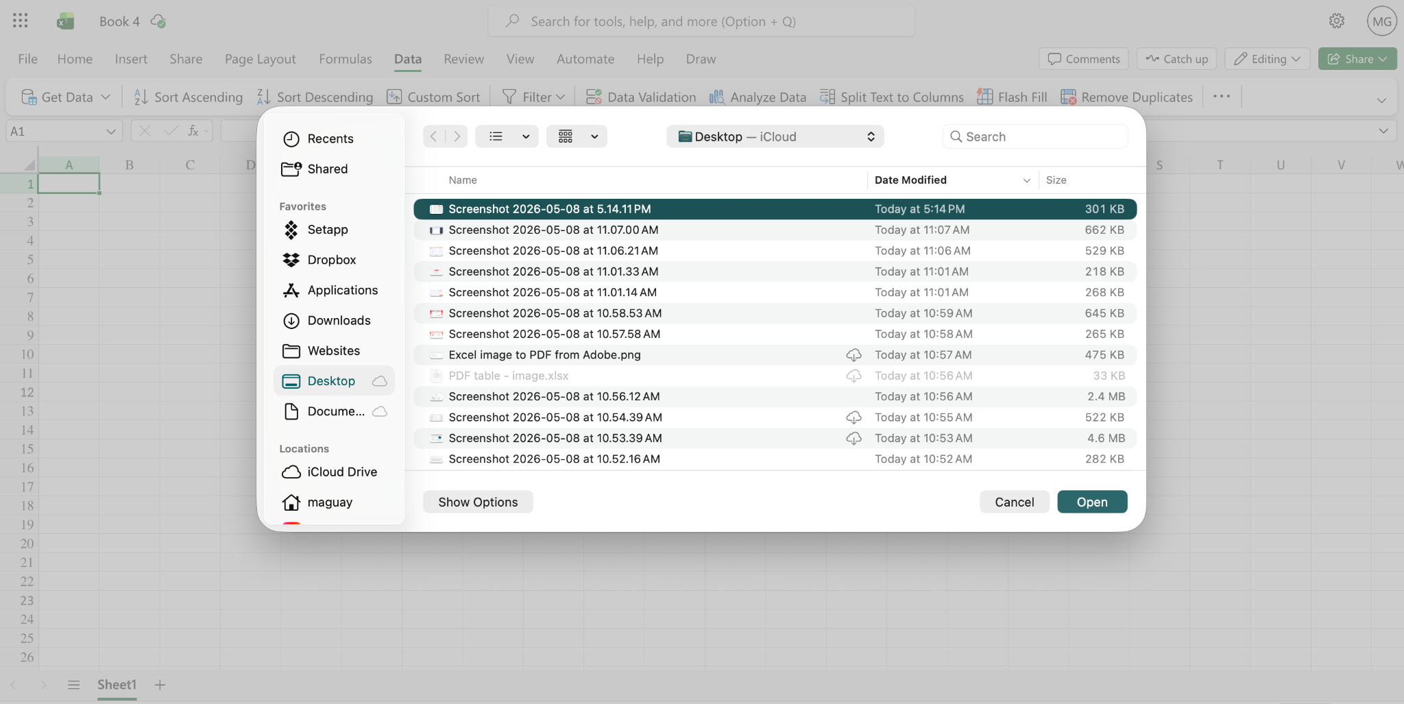 Excel file picker window for selecting a PDF image file to import