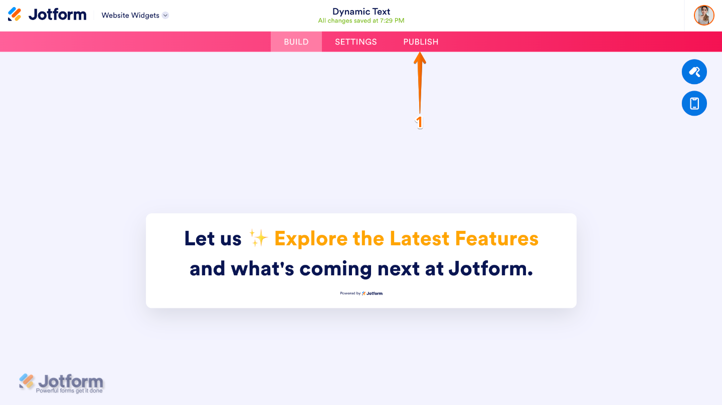 Website Widget Builder showing the Publish button in the pink navigation bar at the top of the page